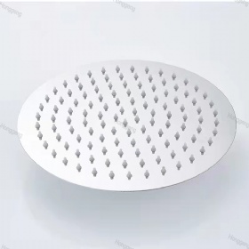 SS Showerhead