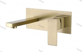 Concealed Faucet