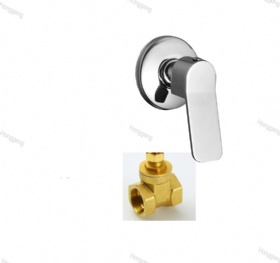 Concealed Faucet